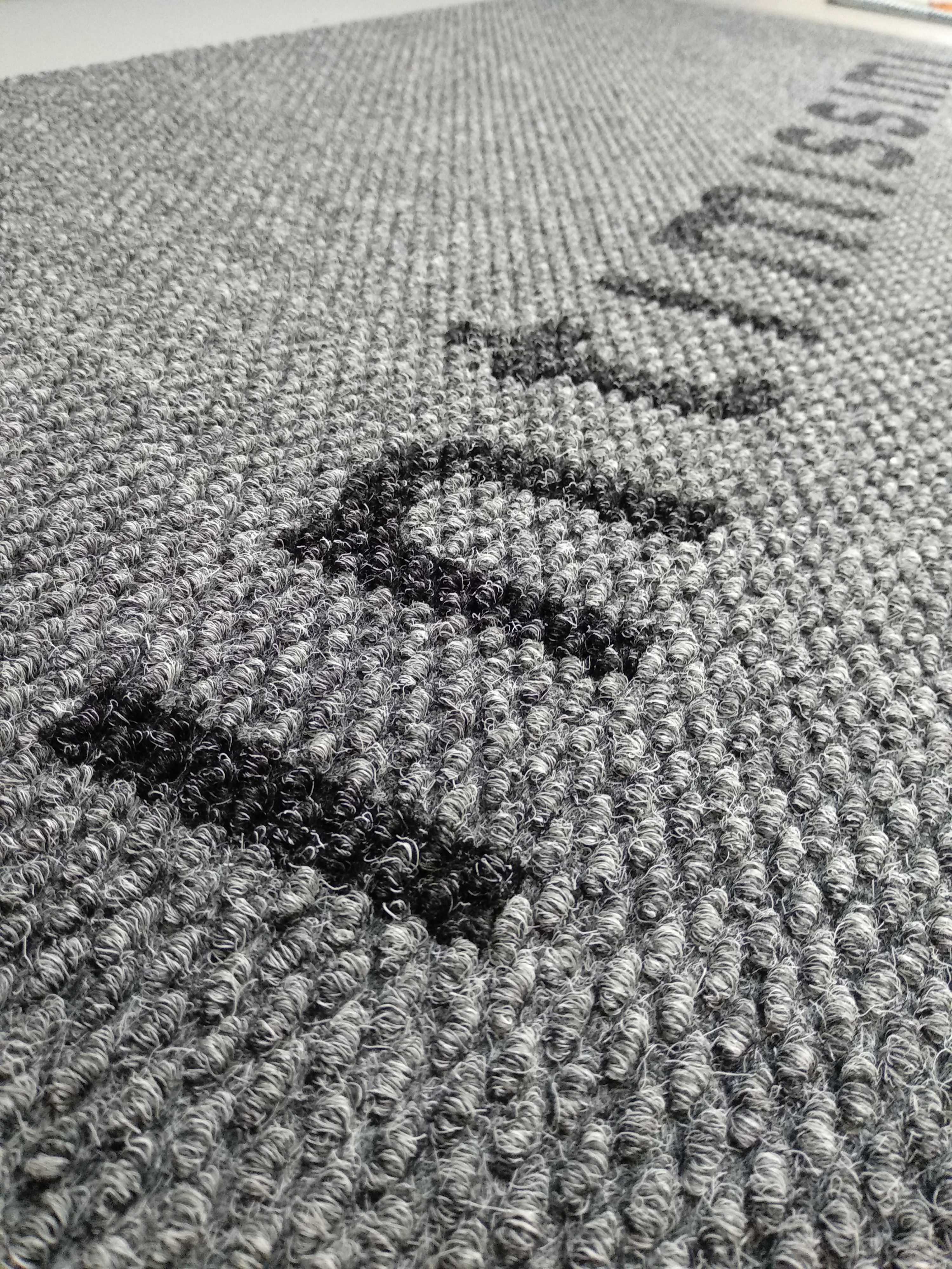 Грязезащитные ковры для входной группы