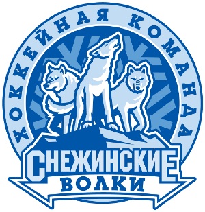 Эскиз грязезащитных ковров с логотипом